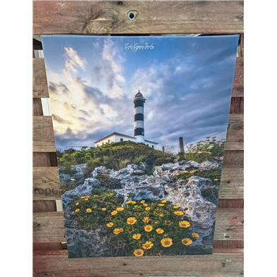 Foto lienzo 50x35cm